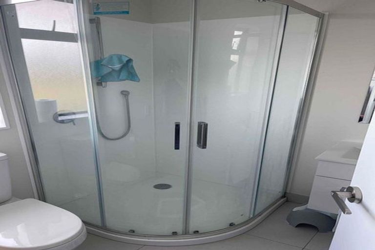Photo of property in 13 Lemon Tree Lane, Flat Bush, Auckland, 2019