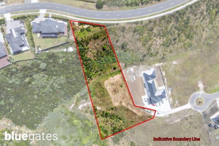 Photo of property in 19 Kanuka Road, Hobsonville, Auckland, 0616