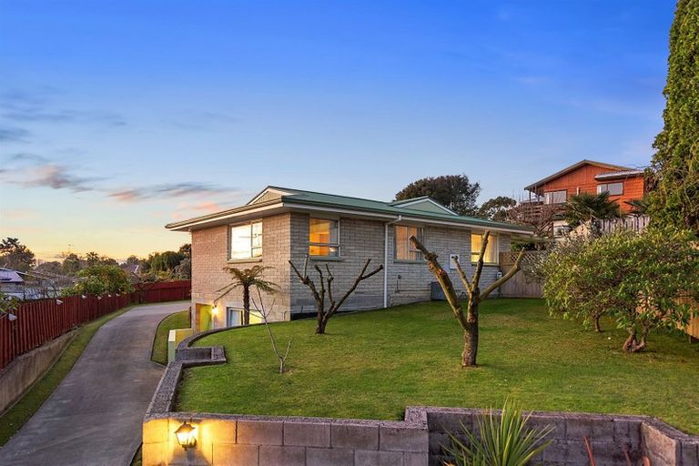 Photo of property in 19 Ridgeway Place, Glenview, Hamilton, 3206