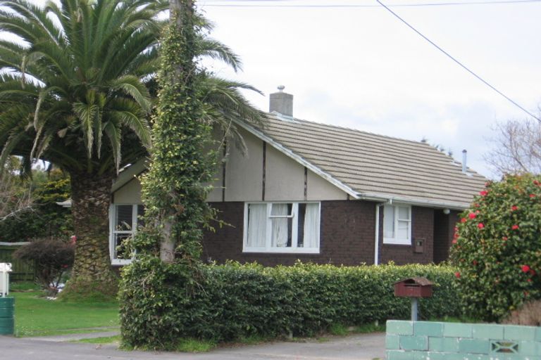 Photo of property in 9 Dunbar Street, Levin, 5510