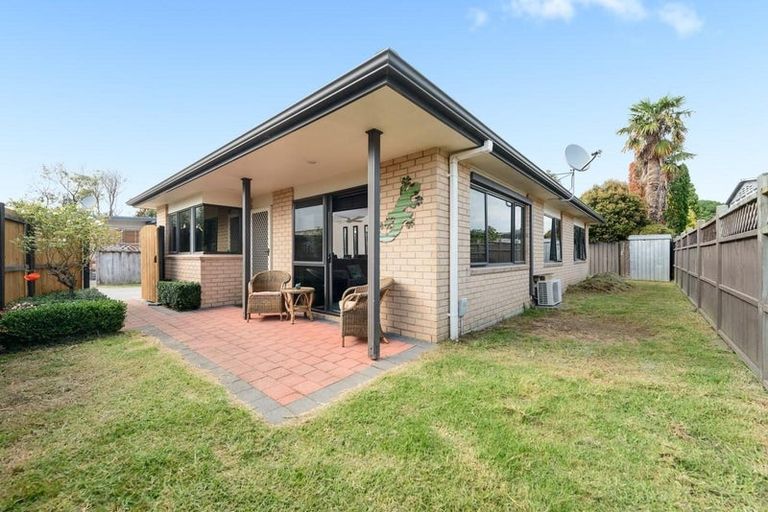 Photo of property in 211a Maungatapu Road, Maungatapu, Tauranga, 3112