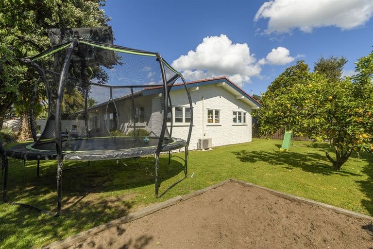 Photo of property in 6 Tudor Place, Mount Maunganui, 3116