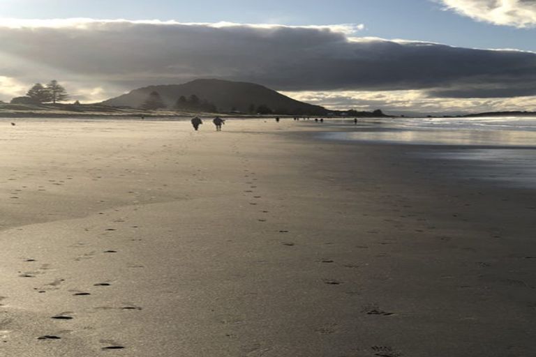 Photo of property in 222a Oceanbeach Road, Mount Maunganui, 3116