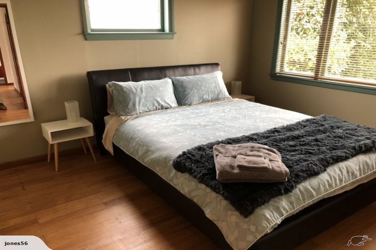 Photo of property in 19 Richmond Street, Whitiora, Hamilton, 3200