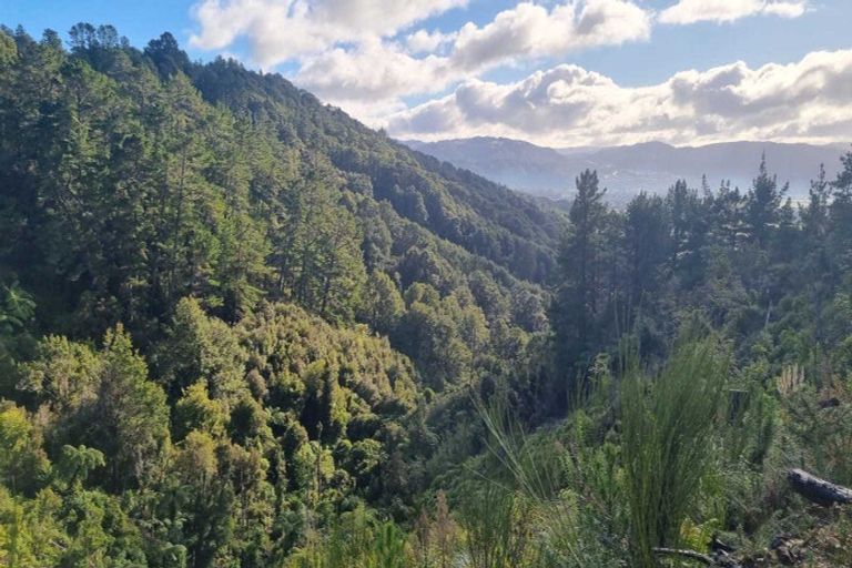 Photo of property in 183 Blue Mountains Road, Blue Mountains, Upper Hutt, 5371