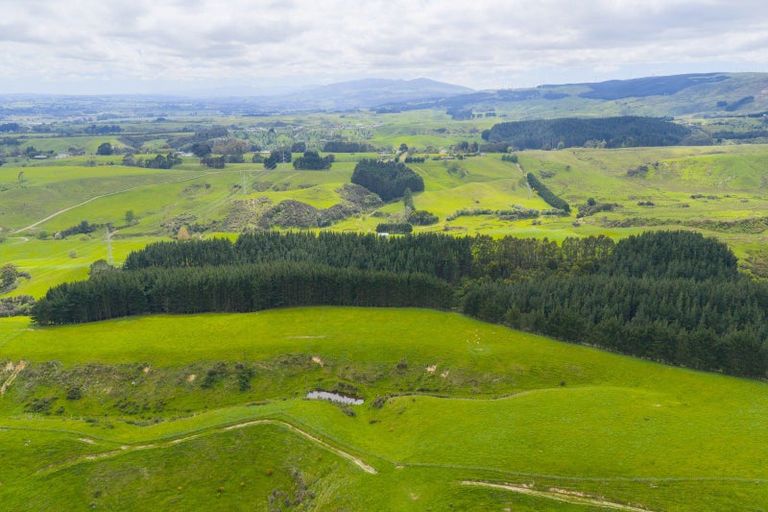 Photo of property in 158 Pahiatua Aokautere Road, Aokautere, 4471