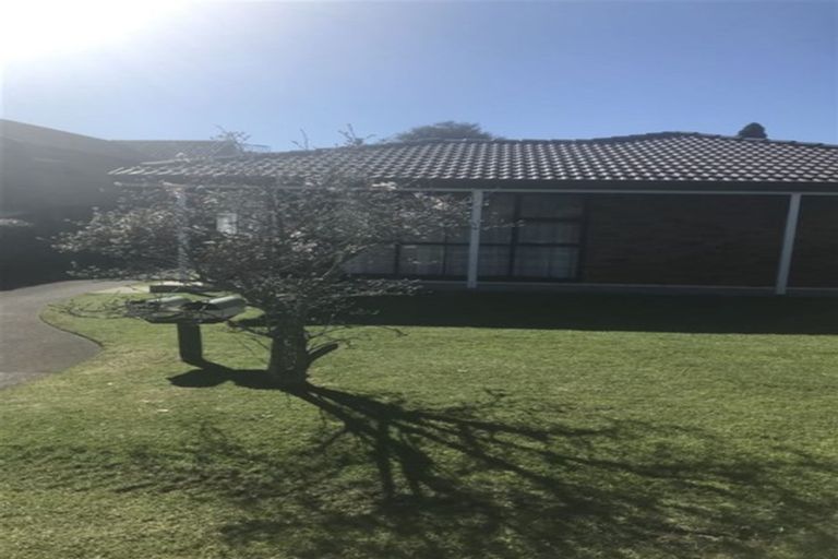 Photo of property in 71a Campbell Road, Mount Maunganui, 3116