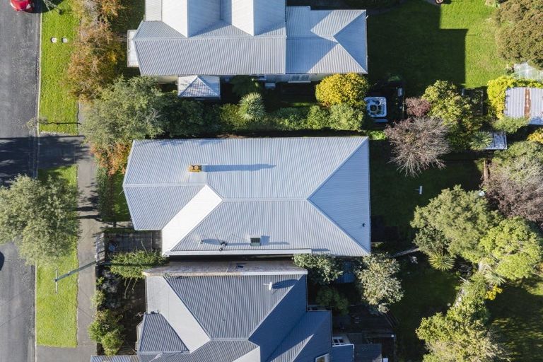 Photo of property in 6 Albert Street, Saint Clair, Dunedin, 9012