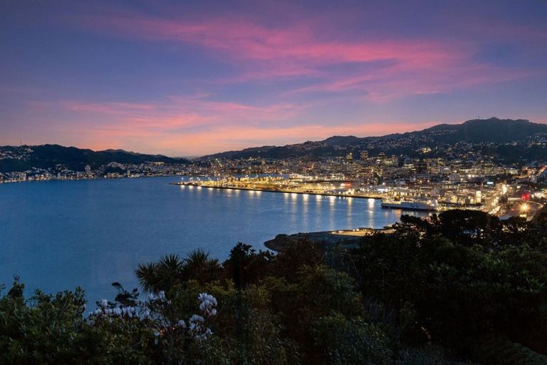 Photo of property in 64 Amritsar Street, Khandallah, Wellington, 6035