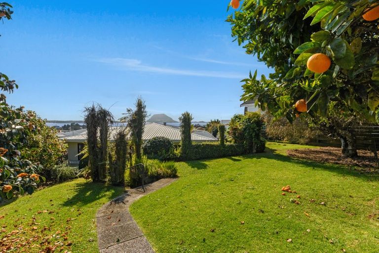 Photo of property in 21 Norton Road, Otumoetai, Tauranga, 3110