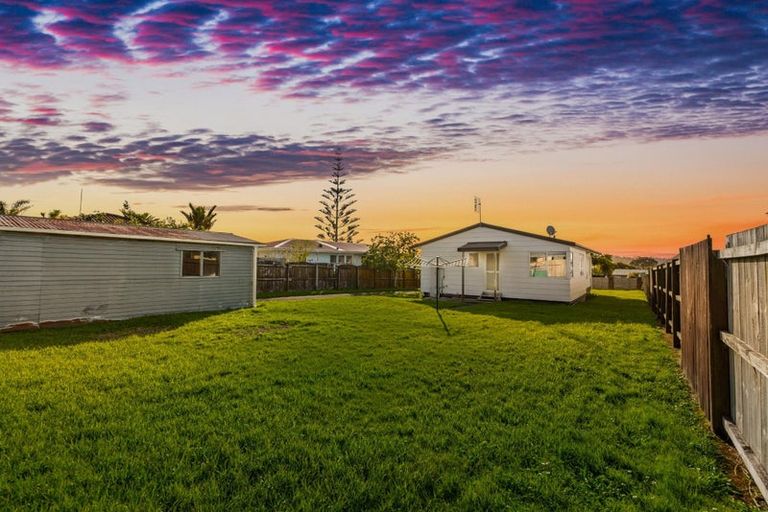 Photo of property in 26 Hinerau Street, Henderson, Auckland, 0612