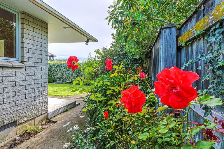 Photo of property in 3/7 Scannell Street, Havelock North, 4130