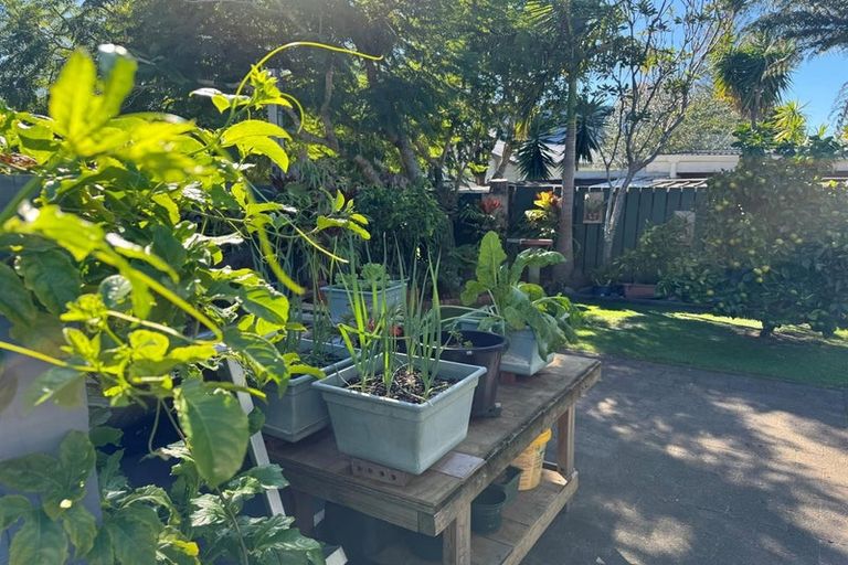 Photo of property in 219b Vista Paku, Pauanui, Hikuai, 3579