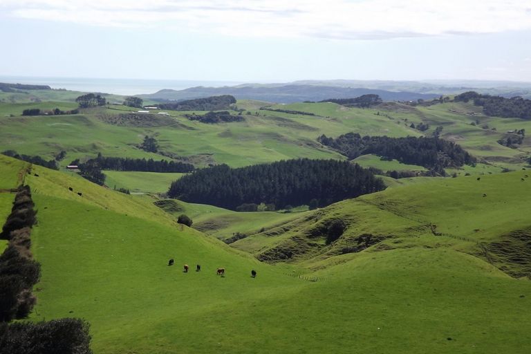 Photo of property in 333a Houchen Road, Raglan, 3295