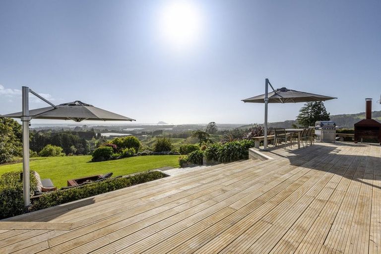 Photo of property in 252 Whakamarama Road, Whakamarama, Tauranga, 3179