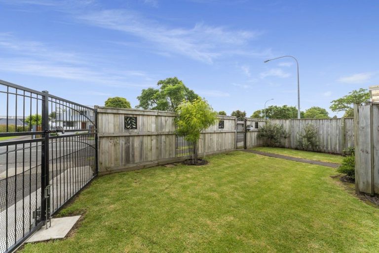 Photo of property in 303a Maungatapu Road, Maungatapu, Tauranga, 3112