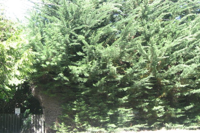 Photo of property in 80b Albert Terrace, Saint Martins, Christchurch, 8022