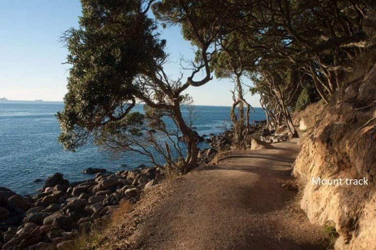 Photo of property in 13/36 Miro Street, Mount Maunganui, 3116