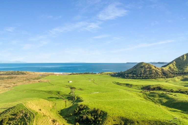 Photo of property in 550 Black Jack Road, Opito Bay, Whitianga, 3592