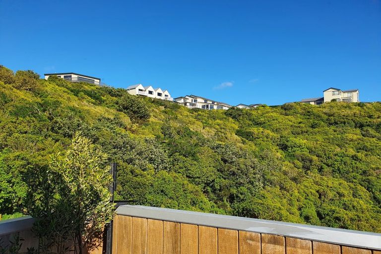 Photo of property in 100e Karepa Street, Brooklyn, Wellington, 6021