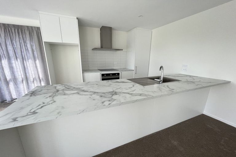 Photo of property in 19 Makonui Road, Lincoln, 7608