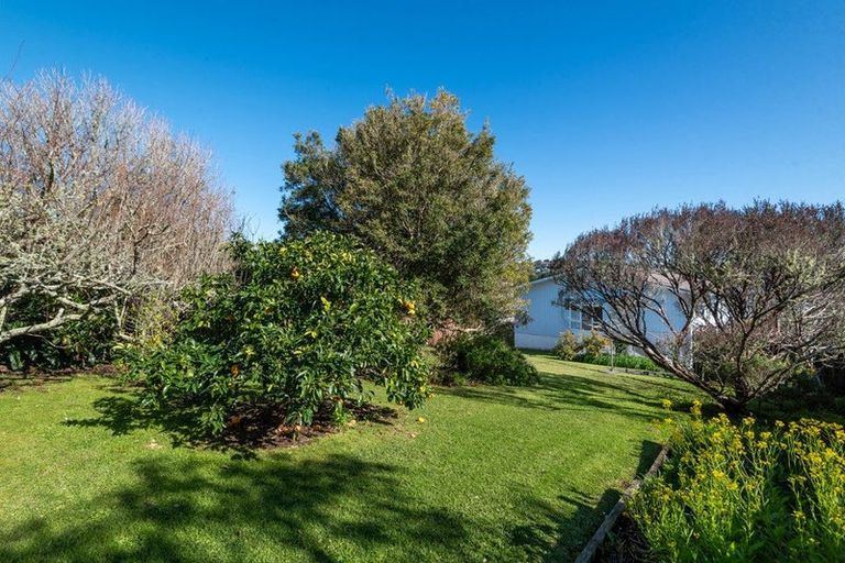 Photo of property in 46 Alton Avenue, Hillcrest, Auckland, 0627