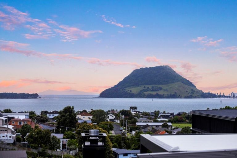 Photo of property in 37c Milton Road, Otumoetai, Tauranga, 3110