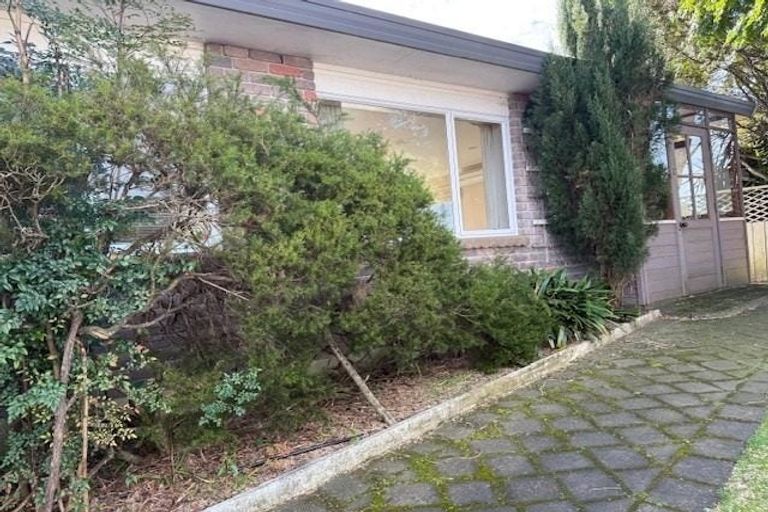 Photo of property in 737a Cameron Road, Tauranga South, Tauranga, 3112