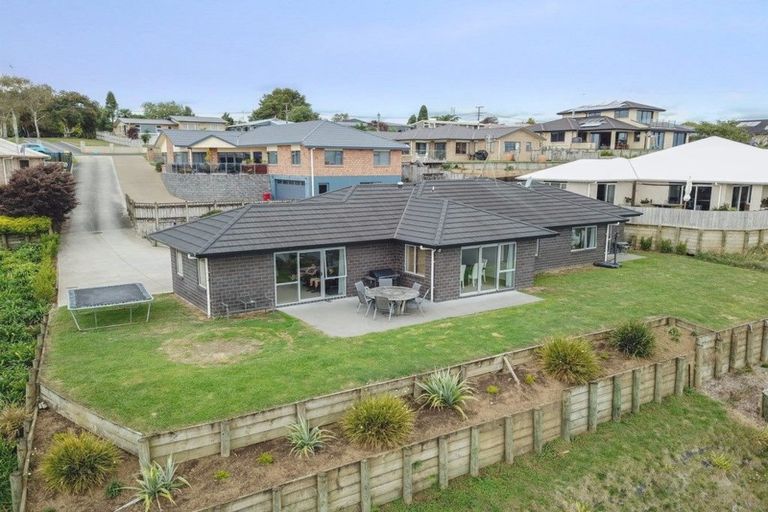 Photo of property in 373 Picquet Hill Road, Te Awamutu, 3800