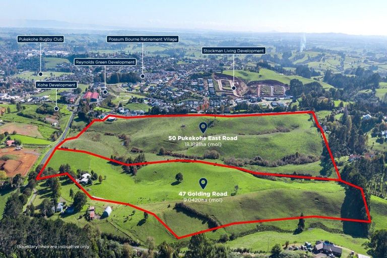 Photo of property in 50 Pukekohe East Road, Pukekohe, 2677