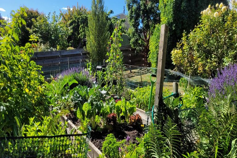 Photo of property in 8 Kennedy Crescent, Wanaka, 9305