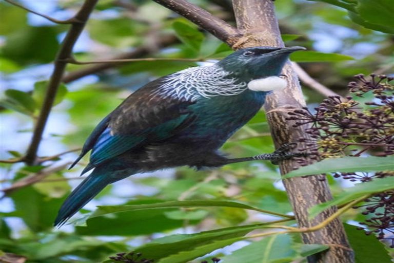 Photo of property in 53 Porika Road, Rotoroa, Murchison, 7077