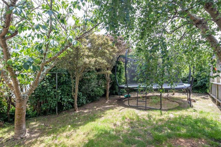 Photo of property in 58a Kainui Road, Hataitai, Wellington, 6021