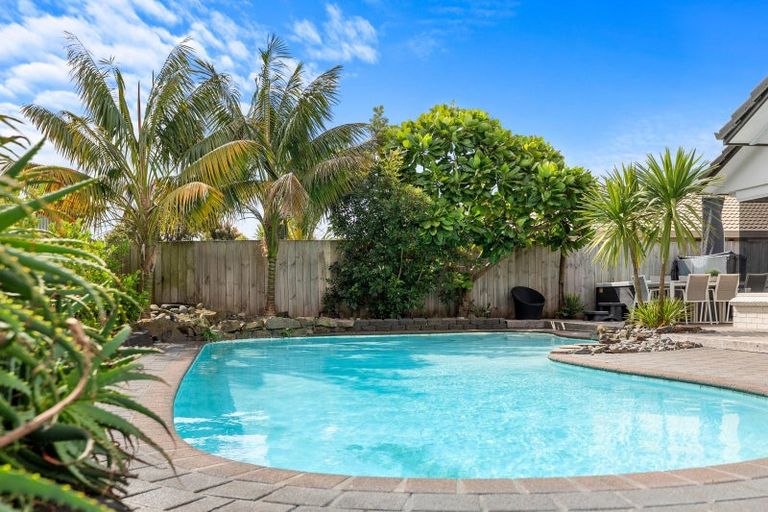 Photo of property in 24 Fahey Avenue, Mount Maunganui, 3116