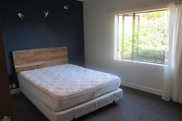 Photo of property in 53 Ngaio Street, Saint Martins, Christchurch, 8022