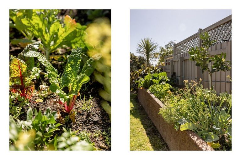 Photo of property in 22a Winchester Terrace, Bethlehem, Tauranga, 3110