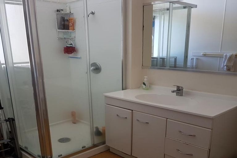 Photo of property in Te Awhina Apartments, 22u3 Sussex Street, Mount Cook, Wellington, 6021