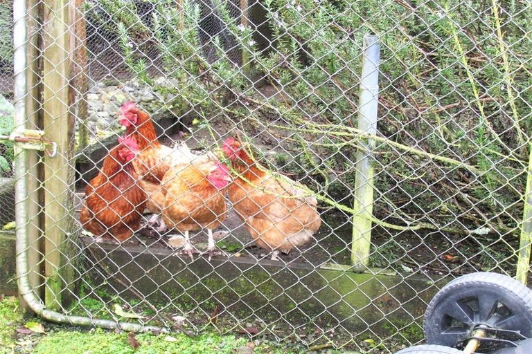 Photo of property in 64 Kaniere Road, Hokitika, 7811