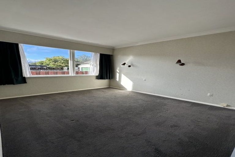 Photo of property in 20 Burn Street, Levin, 5510