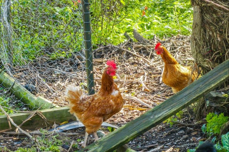 Photo of property in 15 Boler Road, Tauhoa, Warkworth, 0984