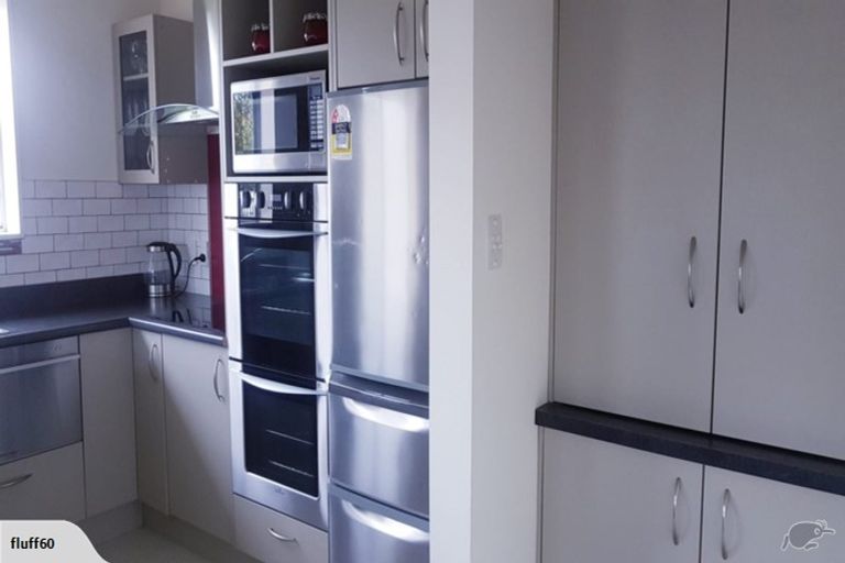 Photo of property in 19 Sturrocks Road, Redwood, Christchurch, 8051