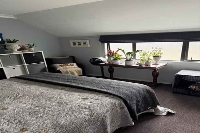 Photo of property in 438f Tristram Street, Whitiora, Hamilton, 3200