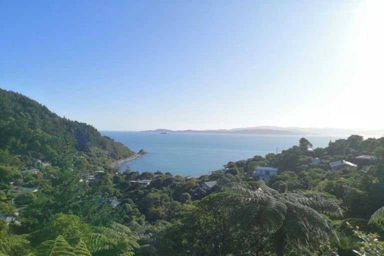 Photo of property in 52 Waitohu Road, York Bay, Lower Hutt, 5013