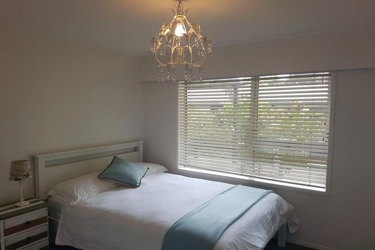 Photo of property in 62 Firth Street, Hamilton East, Hamilton, 3216