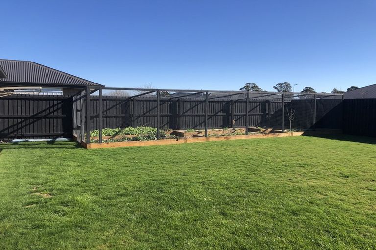 Photo of property in 16 Rhyolite Court, Rolleston, 7614