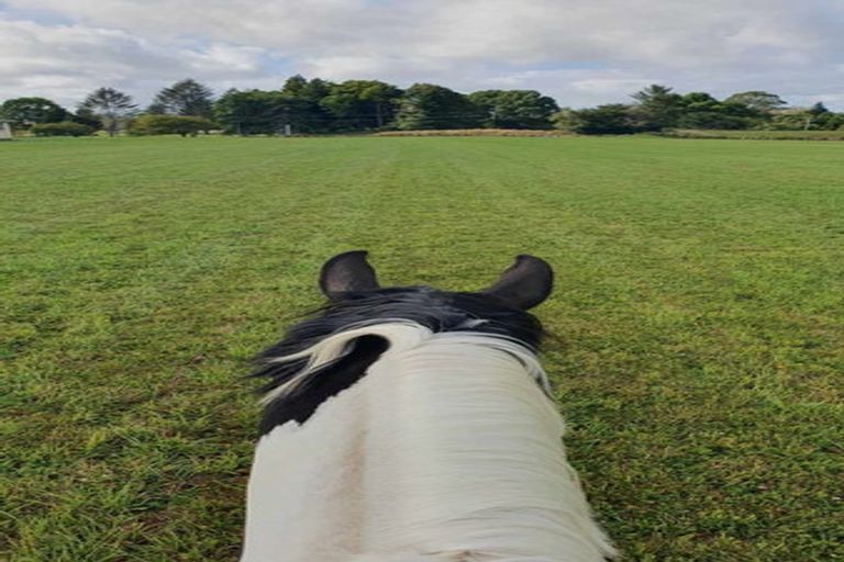 Photo of property in 242 Maraetai Rd - State Highway State Highway, Tokoroa, 3491