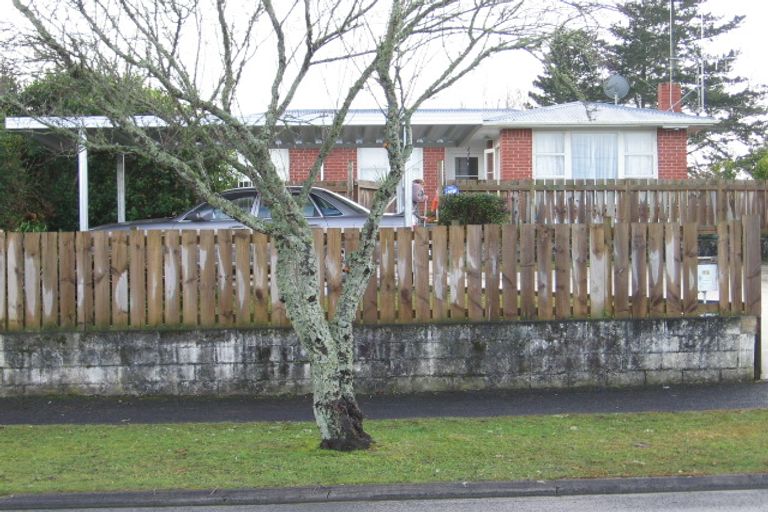 Photo of property in 51 Bruce Avenue, Glenview, Hamilton, 3206