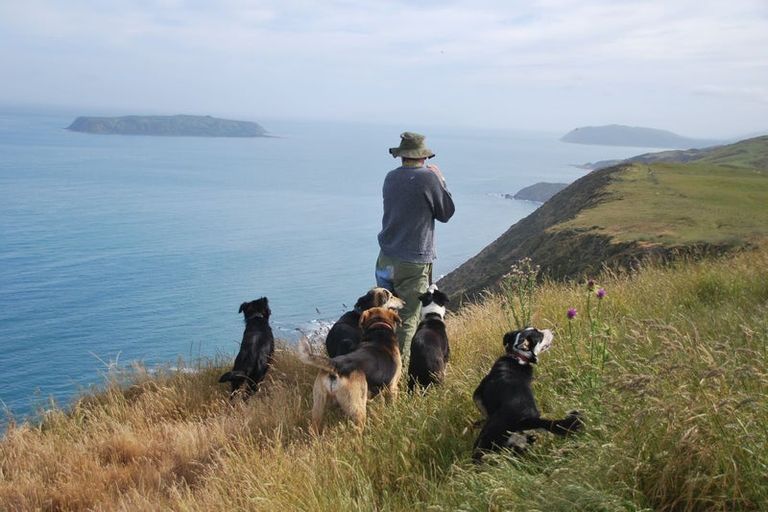 Photo of property in 292 Boom Rock Road, Ohariu, Wellington, 6037