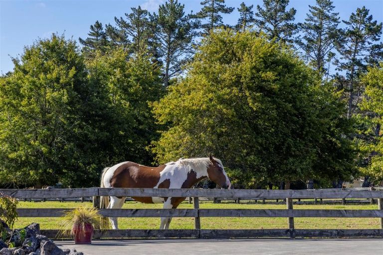 Photo of property in 883 Peak Road, Helensville, 0875