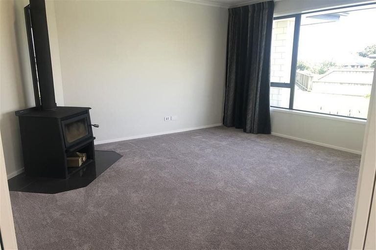 Photo of property in 13 Kilsby Place, Levin, 5510